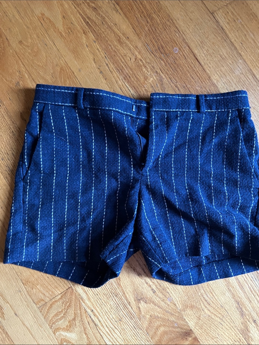 Banana Republic Navy Blue Pinstripe Women's Shorts